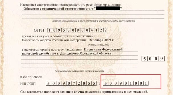 Где найти кпп. Код причины постановки на учет кпп. инн кпп. од причины постановки на учёт (кп. инн и кпп юридического лица.