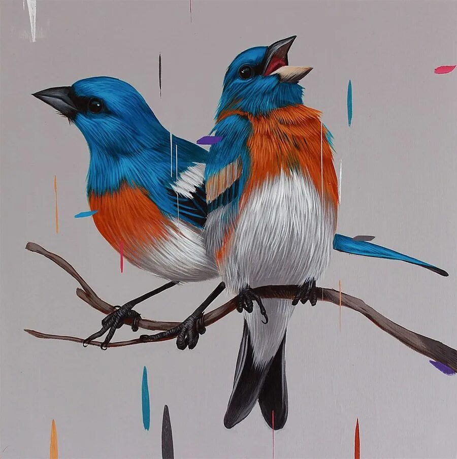 Bird art. Франк Гонсалес птицы картины. Птицы акрилом Фрэнк Гонсалес. Птица рисунок. Красивые птицы рисунки.