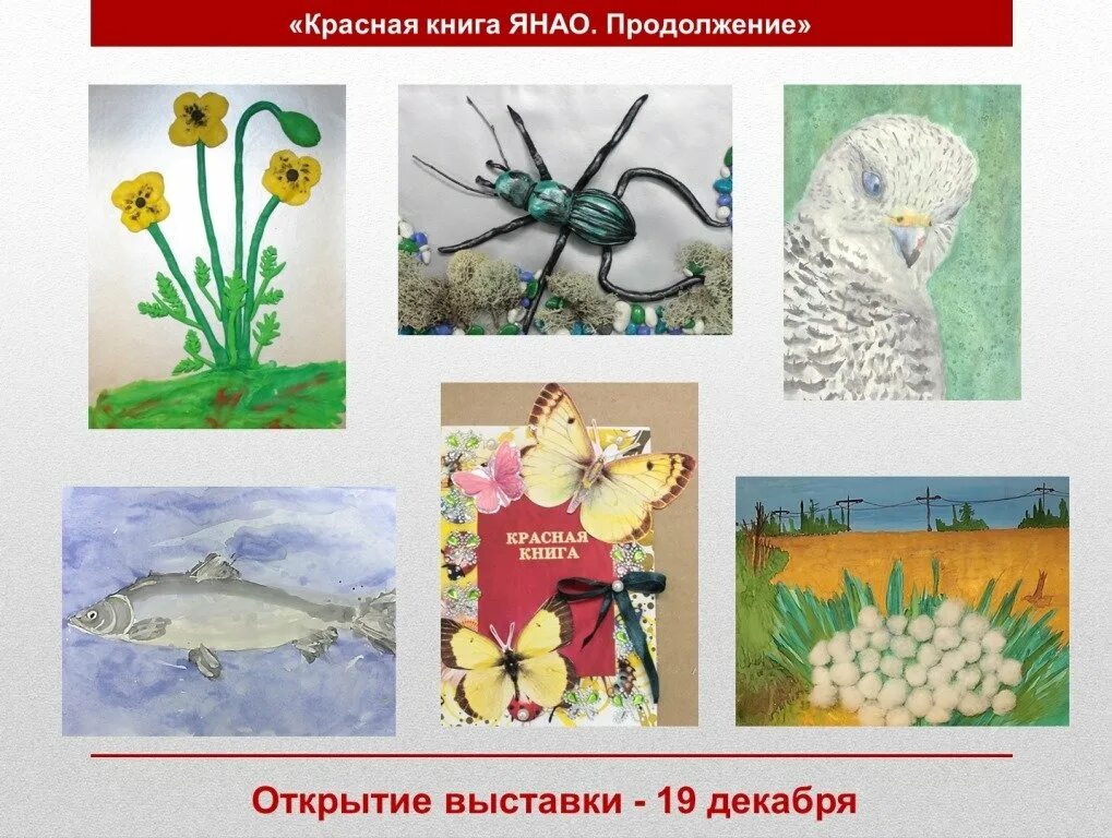 Исчезающая красота рисунки изображающие растения и животных. Красная книга ямала. красная книга ямала животные и растения. иллюстрации красной книги ямала. красная книга янао.