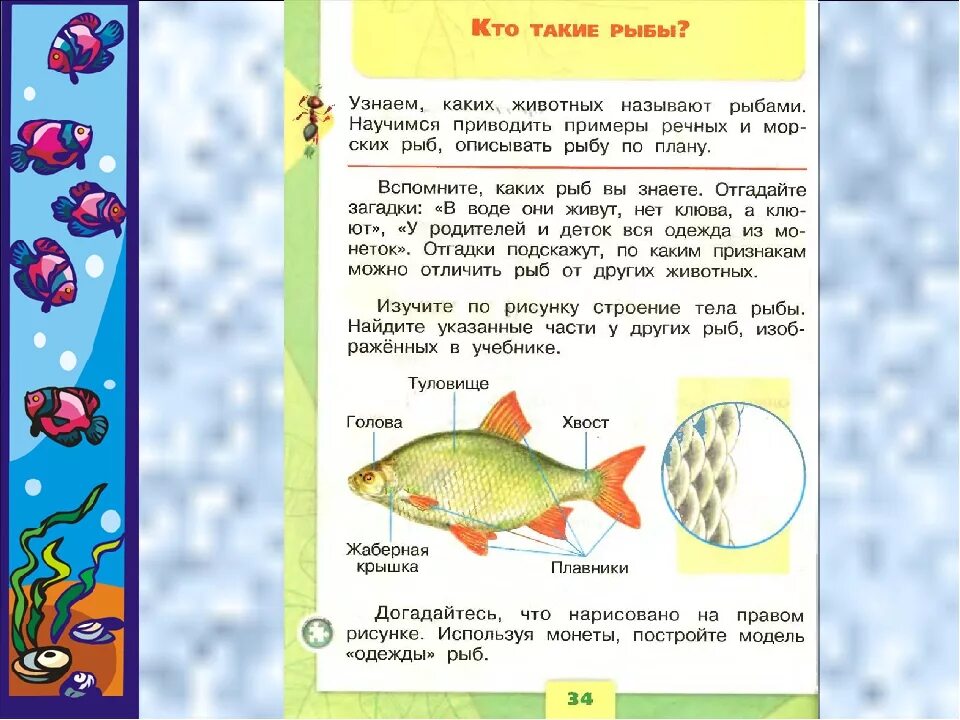 Кто такие рыбы 1 класс окружающий мир. Кто такие рыбы 1 класс. Рыбы 1 класс окружающий мир. Задания про рыб 1 класс.