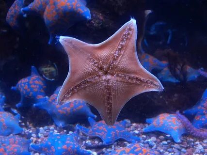 Морские факты