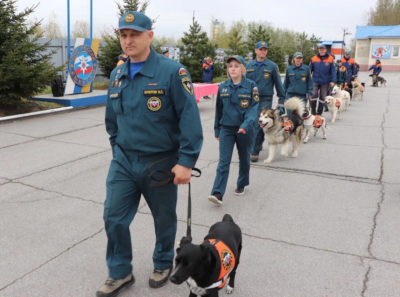 Кинолог мчс. Цсоор лидер мчс россии кинологи. Кинолог спасатель. Святослав кинолог мчс казань. Трубникова ксения кинолог мчс.