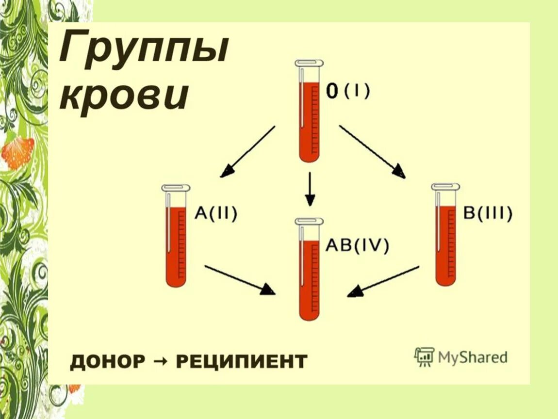 Группы крови доноры и реципиенты. Группа крови реципиент. Группа крови донор. Кровь группы крови донор реципиент.