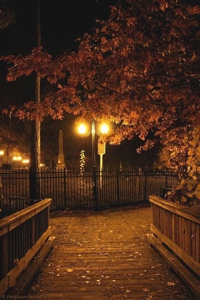Красивая ноябрьская ночь. Осенняя ночь. Осень ночь. Ночь осенью. Золотая осень ночью.