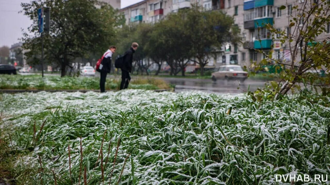 Погода в хабаровске в мае 2024 года. Снегопад в городе. Снег в городе. Первый снег. Снег фото.