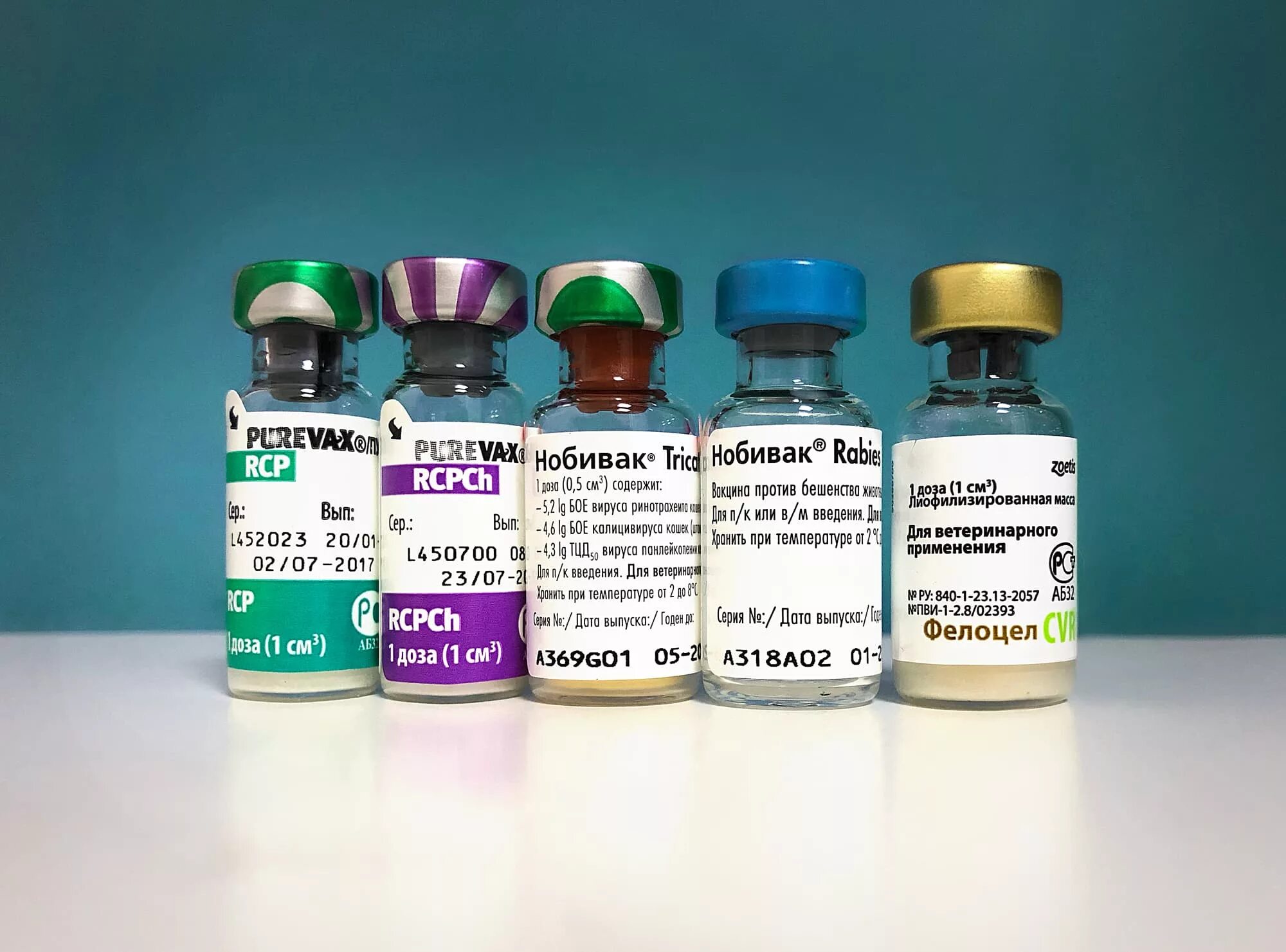 Вакцина нобивак цена. Вакцина Нобивак трикет трио. Nobivac DHPPI. Комплексная вакцина для собак Нобивак. Вакцины для собак и кошек Nobivac.