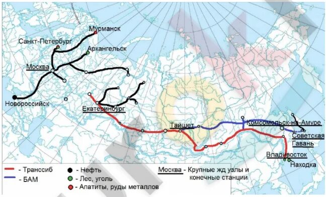 Железнодорожные магистрали на контурной карте. Крупнейшие железнодорожные магистрали. Карта крупных железнодорожных магистралей. Железнодорожные магистрали на карте. Контурные карты железные дороги