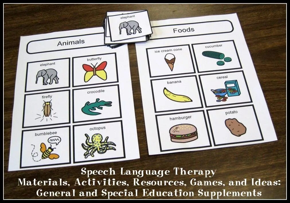 Materials activities. Resources игра. Didactic Speech Therapy games. Activity material