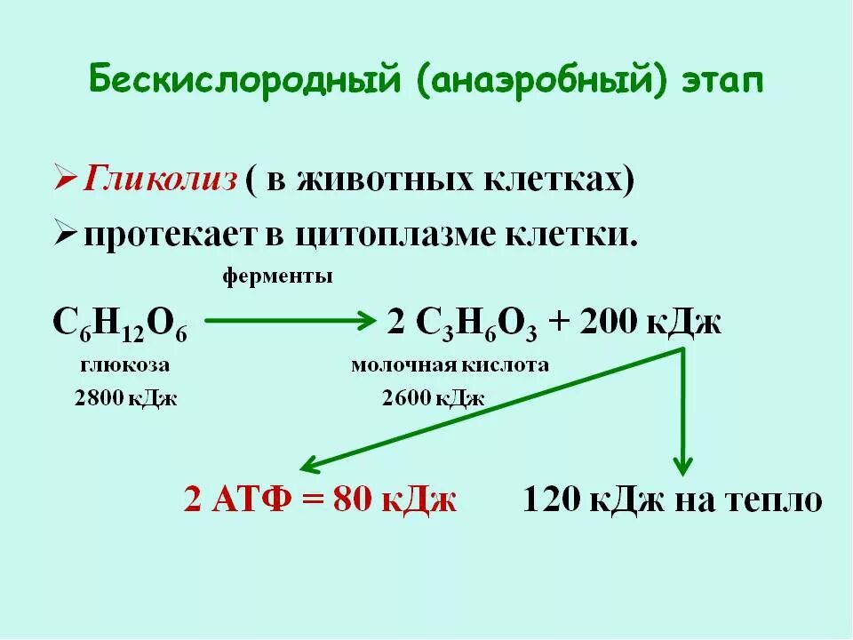 Реакция расщепления атф