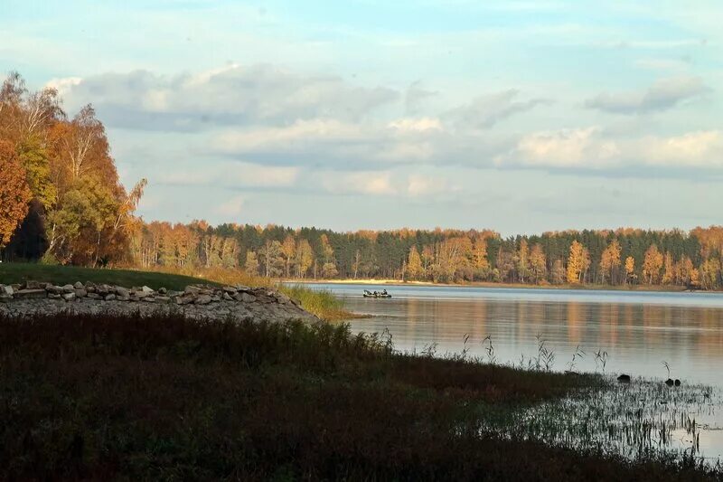 истринское водохранилище 24. истринское водохранилище форум. истринское водохранилище форум. истринское водохранилище форум. кутузовский залив истринского водохранилища.