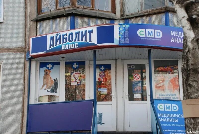 Ветеринарная клиника айболит тула. Ветклиника тульская. Лейтейзена 6 тула. Самая красивая новогодняя улица тула. Праздничное оформление города тула.