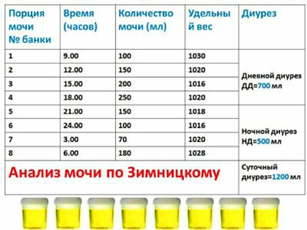 Нормы показателей мочи по Зимницкому. Анализ мочи по Зимницкому показатели в норме. Анализ мочи по Зимницкому лабораторная посуда. Норма мочи по Зимницкому количество.