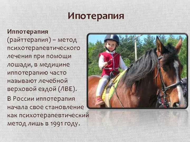 Лечебная верховая езда. Иппотерапия инвалиды. Лекарь лошадей. Стиха в деревне лошади. Иппотерапия на лошади.