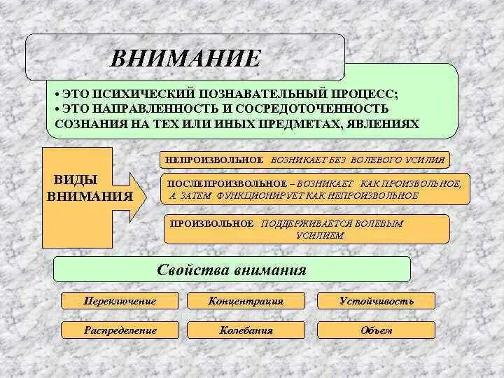 Внимание это психический познавательный процесс. Познавательные процессы в психологии внимание. Внимание как познавательный процесс. Внимание как психический познавательный процесс. Внимание и деятельность методы