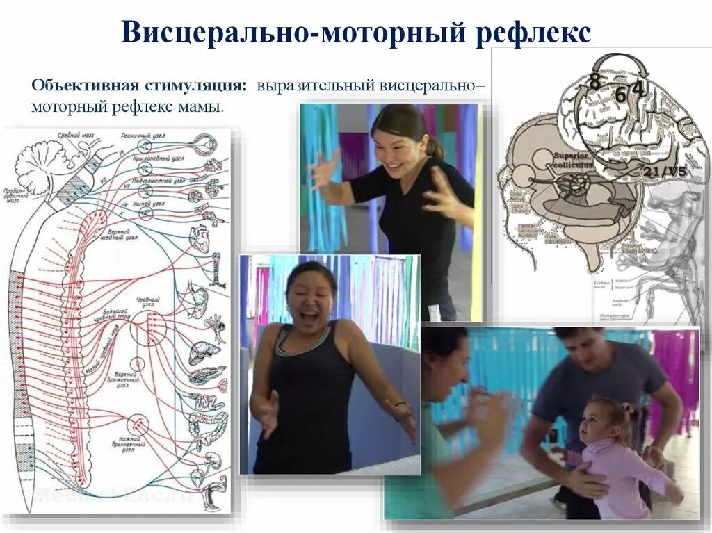 Висцеральный рефлекс. Моторно-висцеральные рефлексы. Теория моторно-висцеральных рефлексов. Теория моторно-висцеральных рефлексов м.р Могендовича. Механизм моторно висцеральных рефлексов.