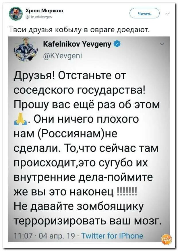 Друзья в овраге лошадь доедают. Свои в овраге лошадь доедают. Твои друзья в овраге лошадь доедают. Ну здравствуй картинки. Твои друзья в овраге лошадь доедают.