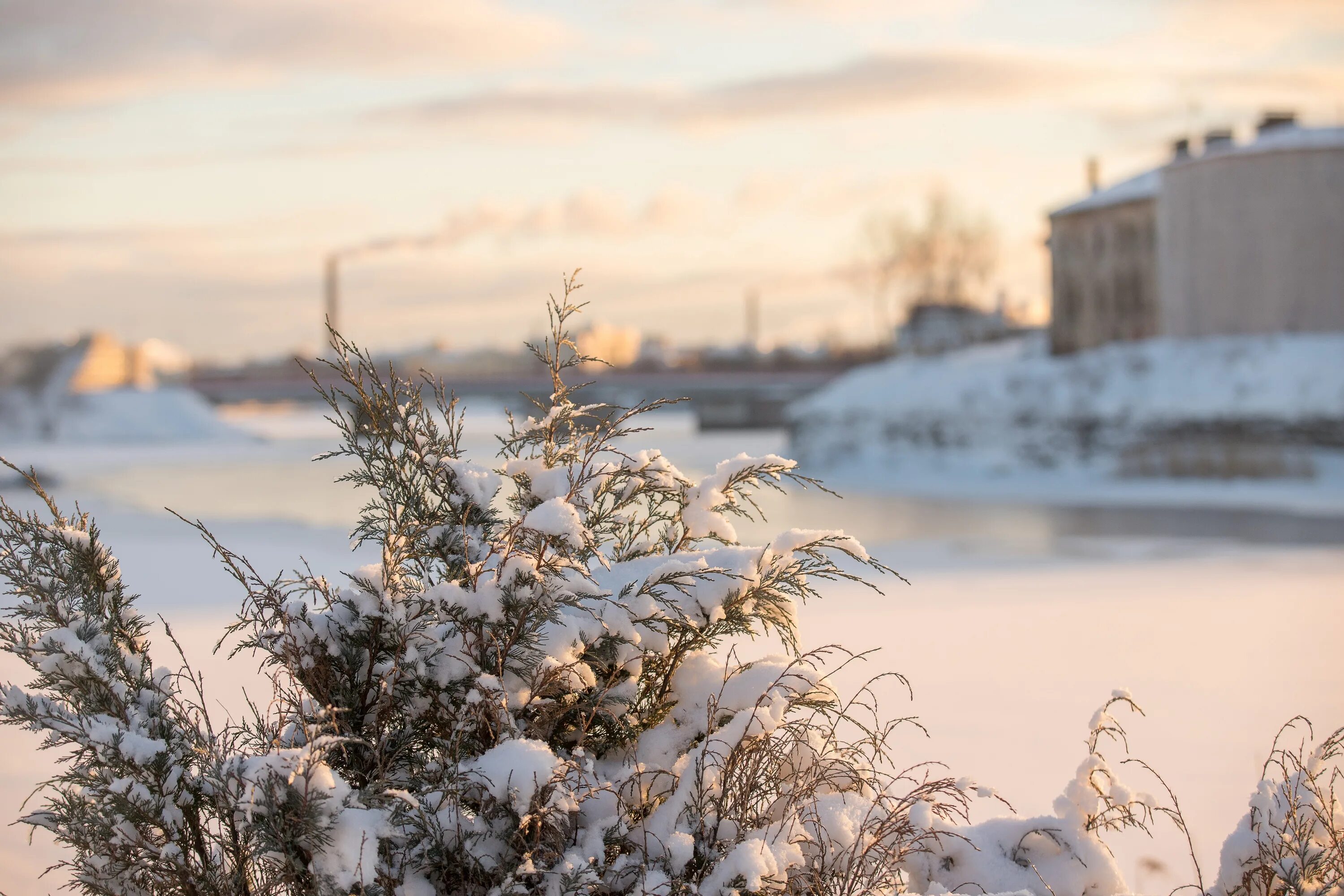 Зимой в городе было 36. Зима в городе. Мороз в Петербурге. Морозный Петербург зимой заснеженный. Мороз и солнце снег Питер.