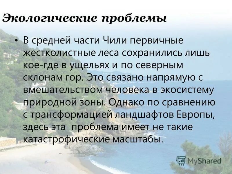 Деятельность человека в жестколистных лесах. Деятельность человека в жестколистных лесах. Деятельность человека в жестколистных лесах. Жестколиственные вечнозелёные леса испания. Субтропические вечнозелёные жестколистные леса и кустарники.