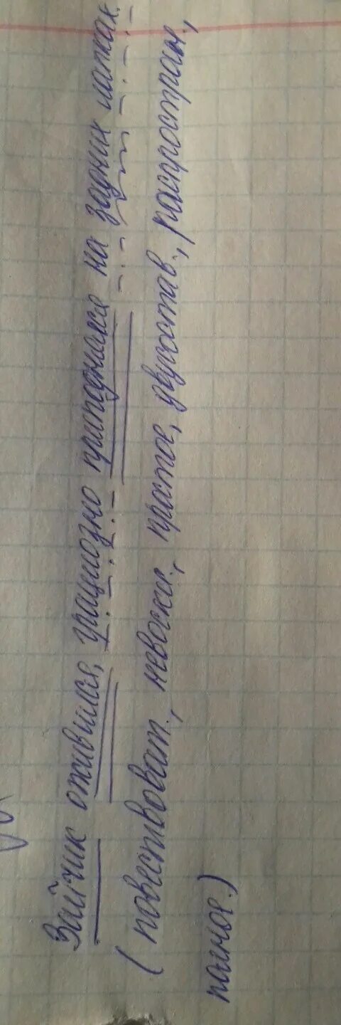 Заяц в прыжке. Зайчик оживился грациозно приподнялся. Прикольный заяц. Синтаксический разбор предложения зайчик оживился,. Зайчик оживился грациозно приподнялся.