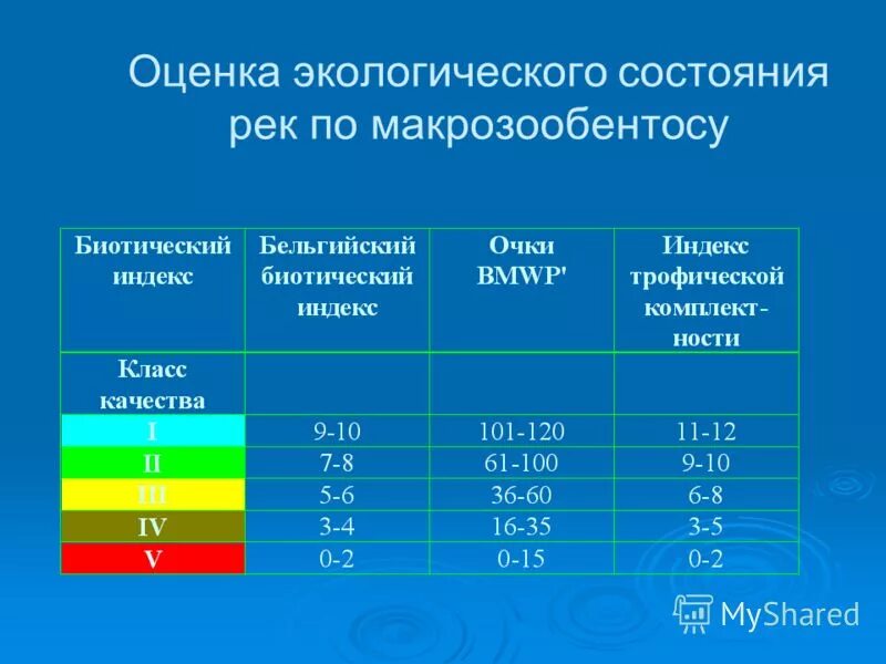 Экологическая оценка воды