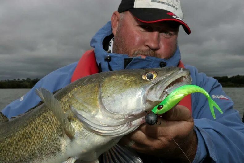 Судак щука джиг. Судак на джиг. Судак на джиг. Джиг на судака на волге. Горьковское море рыбалка.