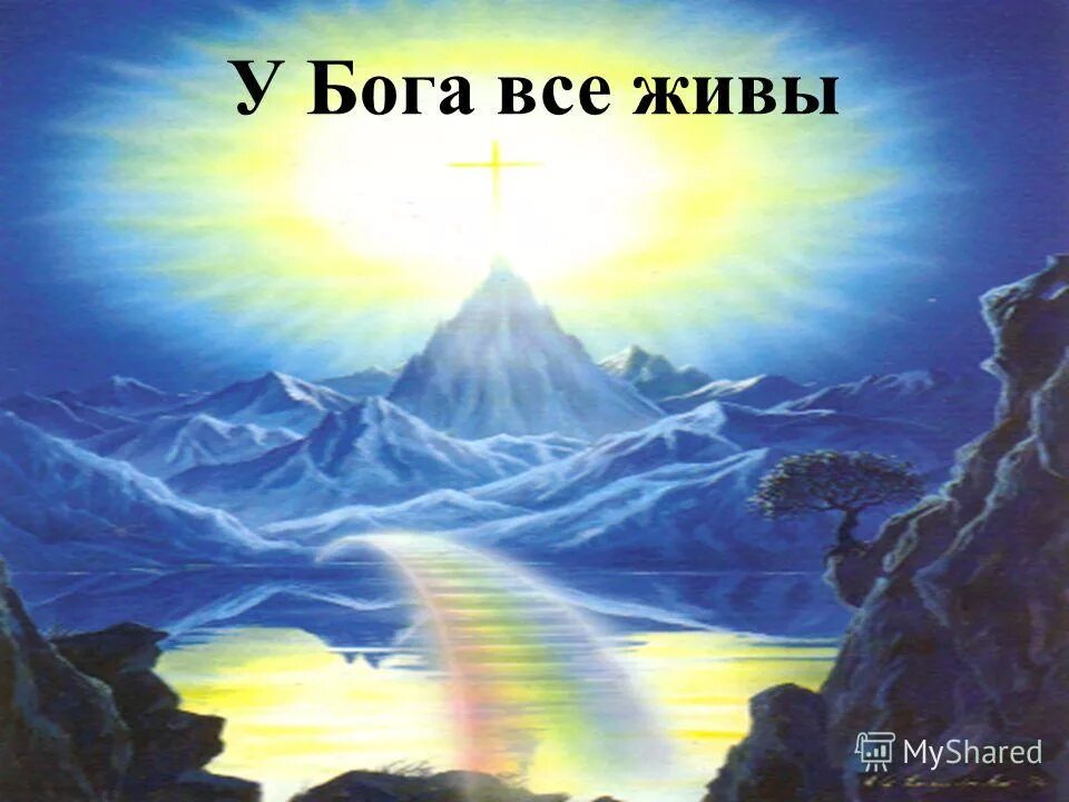 На том свете все живы. У Бога все живы. У Бога все живы открытки. Ибо у Бога все живы. Все боги.