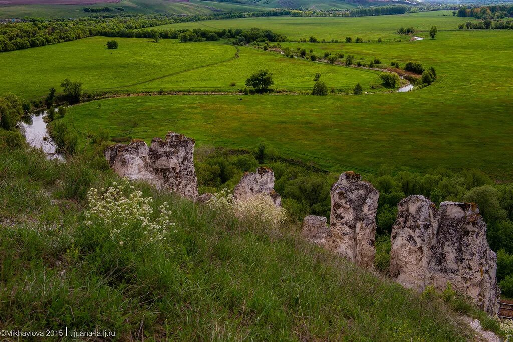 Музеи заповедники воронежской области. Дивногорье музей-заповедник. Заповедник Дивногорье Воронежская область. Природный архитектурно-археологический музей-заповедник Дивногорье. Музей Дивногорье Воронеж.