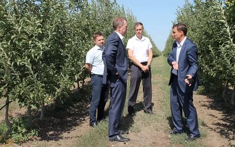 Кубанский центр поддержки населения