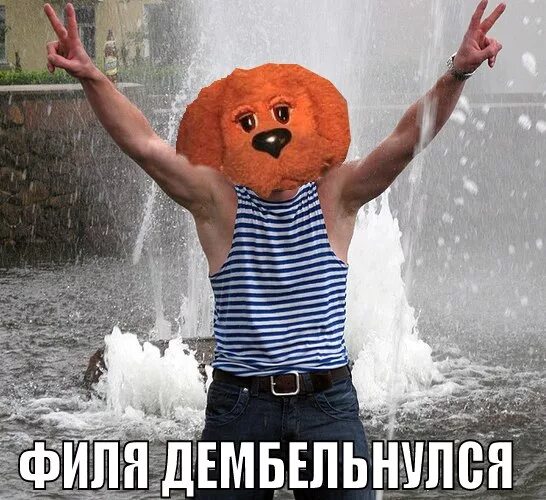 герои спокойной ночи малыши степашка. филя из спокойной ночи малыши. филя полное имя. филя полное имя. цель блоков.