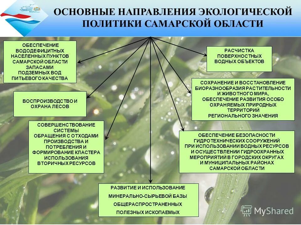 Направление охраны природы. Основные направления экологической политики. Экологическая ситуация в Самарской области. Основные направления политической экологии. Направления экологической политики России.