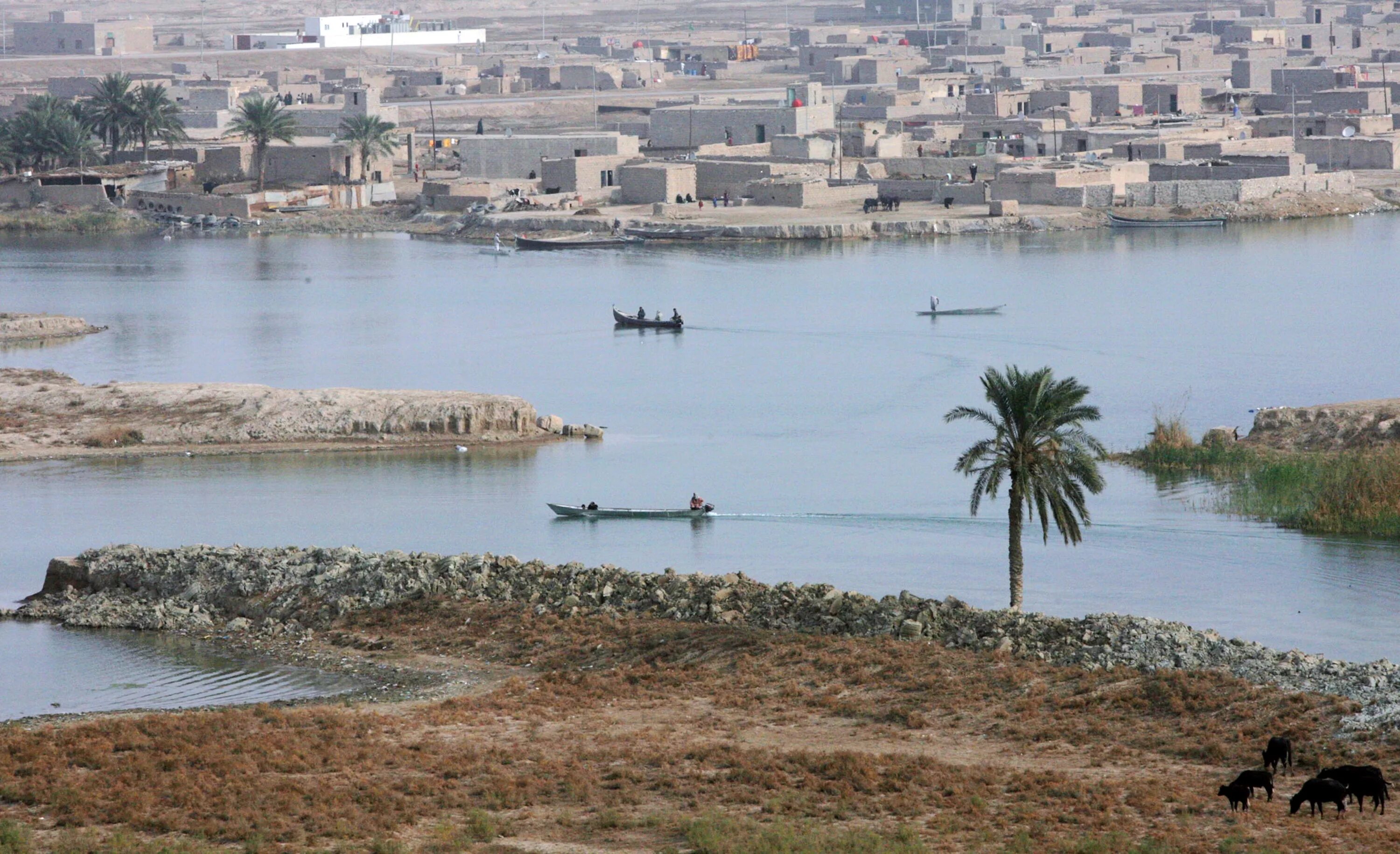 Река тигр в египте. Ирак реки тигр и Евфрат. Река Евфрат в Ираке. Река тигр в Ираке. Река Евфрат 2020.
