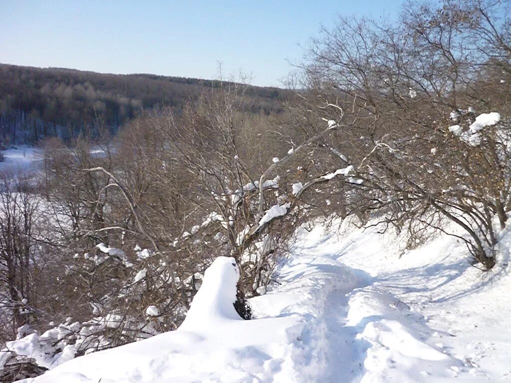 Погода в базарном карабулаке. Базарный Карабулак. Базарный Карабулак Саратовская область. Лесфонд Базарный Карабулак. Базарный Карабулак Выруха.