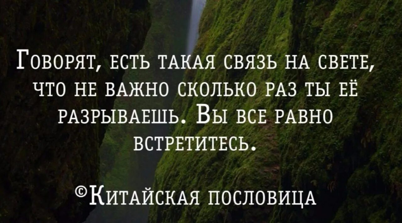 Все равно цитаты. Говорят есть такая связь на свете что. На равных цитаты. Неважно цитаты. Важно быть не тем или другим