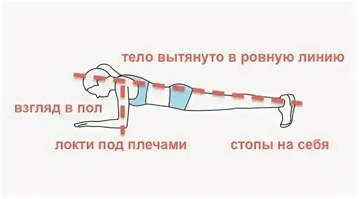 Как вытянуть туловище