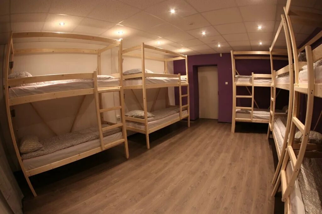 юла 01335 со звуком. юла спб и лен обл бесплатные. щенки спб. игрушка юла с лошадкой. юла спб и лен обл бесплатные.