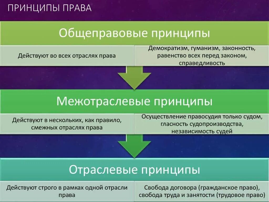 Общеправовым принципом является. Общеправовые принципы Межотраслевые принципы.