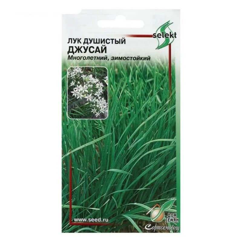 Лук на зелень энерджи 0,5гр/10. Лук душистый джусай (уд). Лук белое перо гавриш. Семена луков магазин. Семена луков магазин.