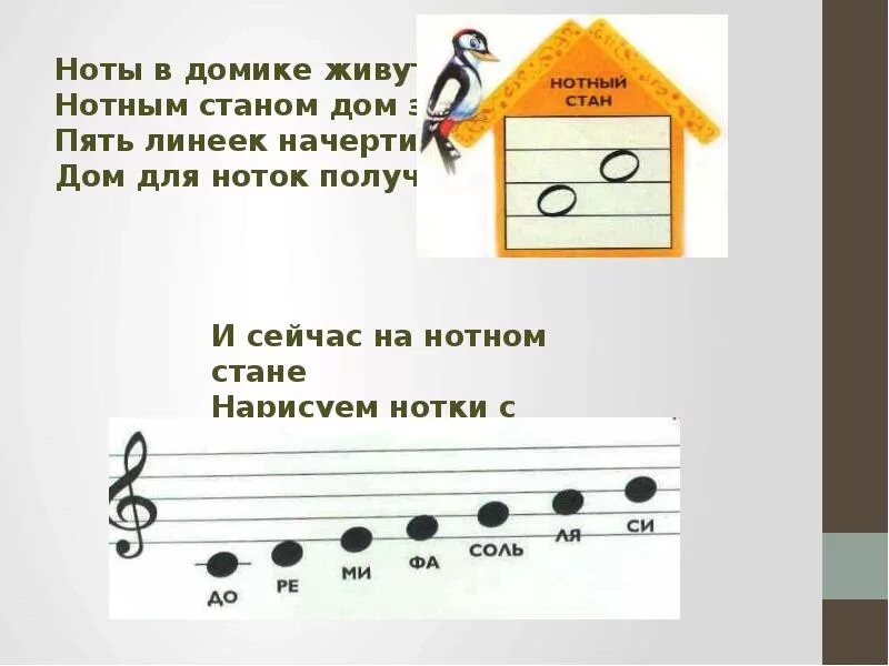 Сколько нотный стан. Как пишутся Ноты на нотном стане для детей. Название нот и их расположение на нотном стане. Нотный стан для де детей. Нотки на нотном стане для детей.