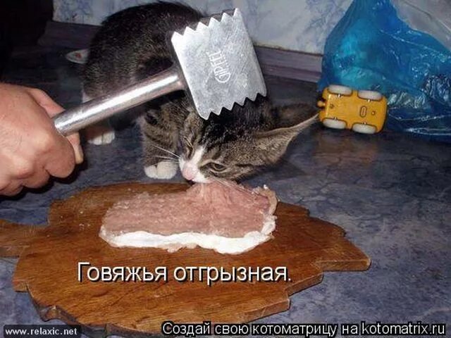 Кот с молотком мем Гайд "Какой вы кот из мемов" Арт на 2x2 2021