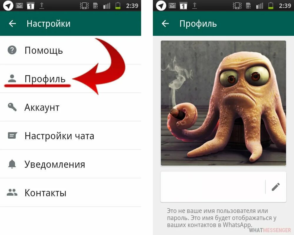 Статус контакта whatsapp. Аватарка в ватсапе. Прикольные статусы для ватсапа. Аватар для группы в ватсапе. Весёлые статусы для ватсапа.