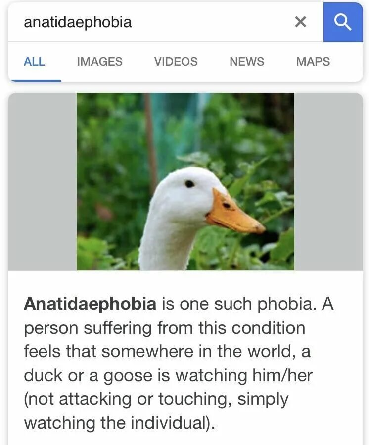 Коммуникация с иностранцами. This is interesting. Человек с ноутбуком в кафе. Креативный человек. Креативная книжная реклама.