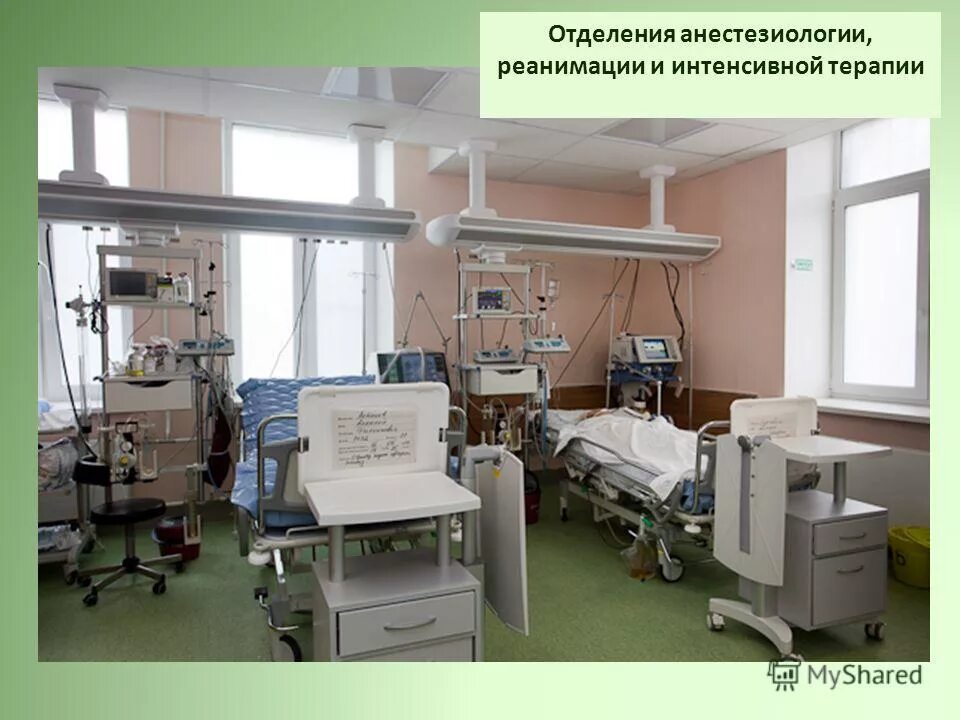 Реабилитация сестрорецк 40. Реабилитация сестрорецк 40
