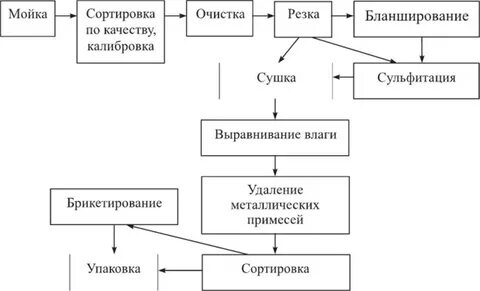 Основные этапы обработки яблок на производстве