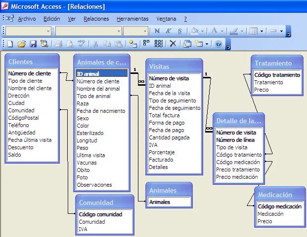 Access. МС аксесс. Microsoft access база данных. Программа MS access. Access сайт