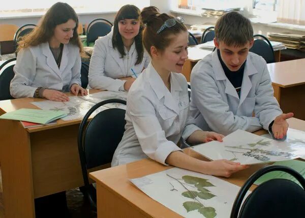 Сколько учиться на фармацевта после 11 класса