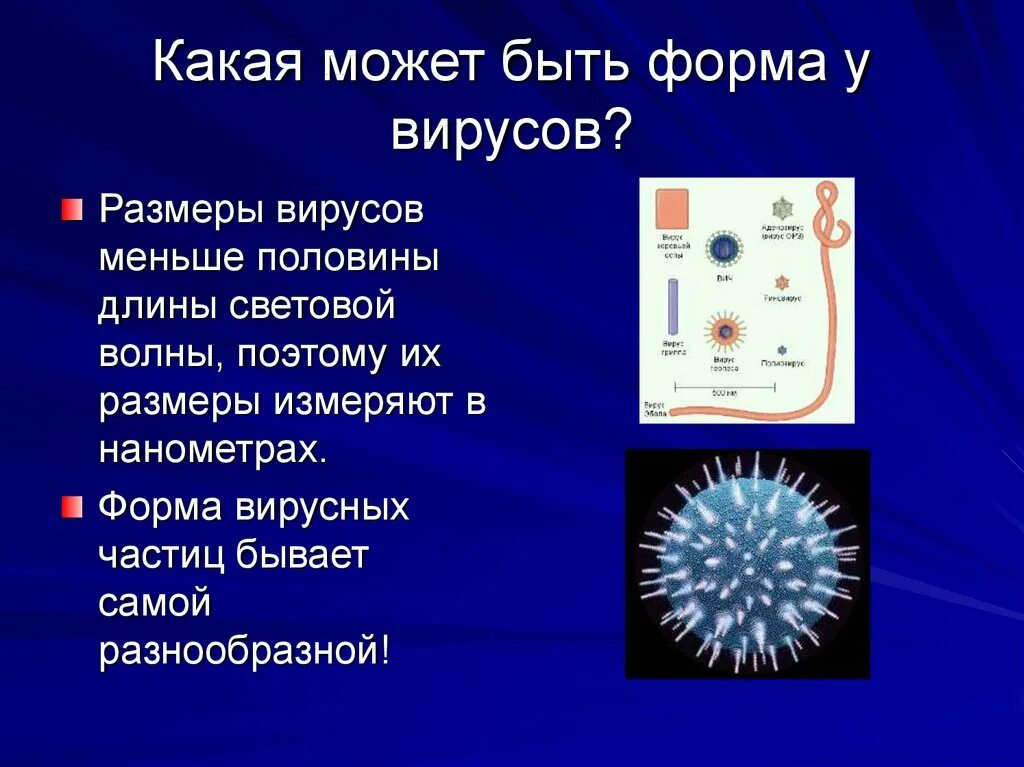Тема бактерии и вирусы 5 класс. Вирусы презентация. Сообщение о вирусе по биологии. Вирусы доклад. Сообщение о вирусах.