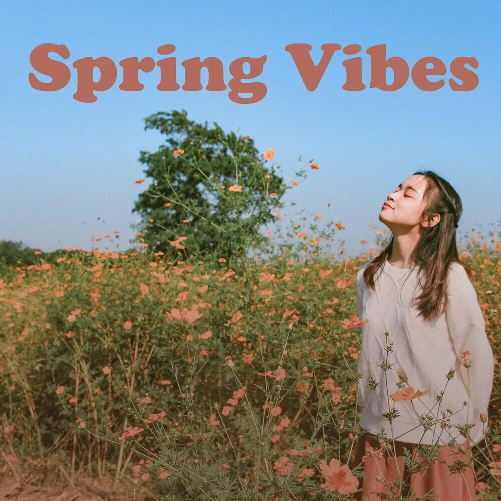 Spring vibes. Spring Vibes перевод. Перевод Spring Vibes на русский. SPRINGVIBE перевод.