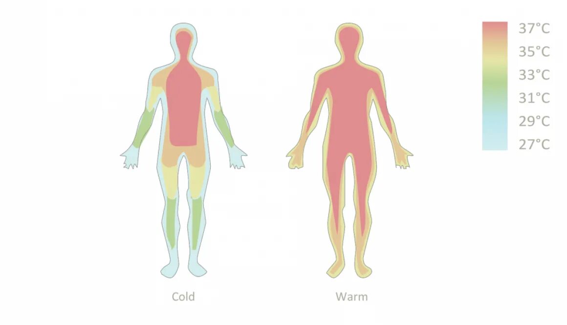 Тело холодное а температура есть. Влияние тепла на организм человека. Влияние тепла и холода на организм. Воздействие тепла на человека. Воздействие холода на организм человека.