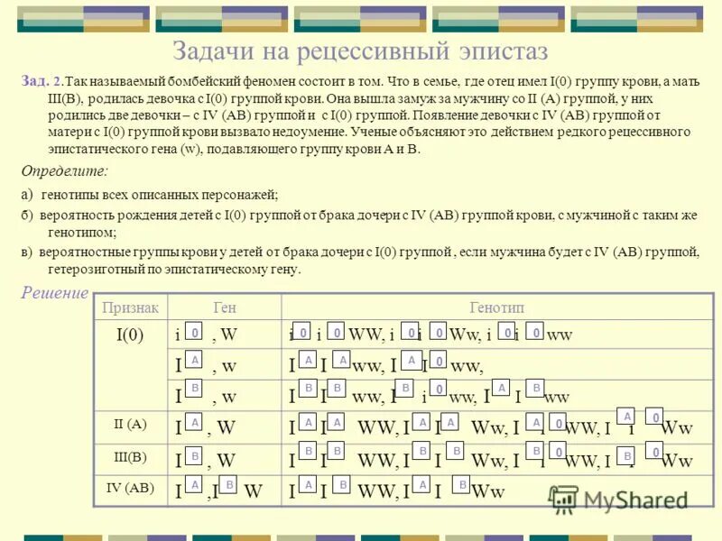 Какой генотип у родителей. Бомбейский феномен задача эпистаз. Бомбейский феномен рецессивный эпистаз. Задачи на эпистаз. Задачи на рецессивный эпистаз.