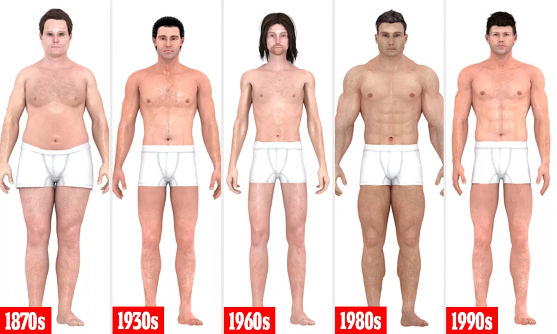 Cock size. Ideal man body size. нормальный полный парень male factors. ideal man body size s. особенности телосложения ftm.